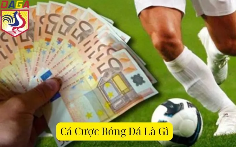 Cá Cược Bóng Đá Là Gì