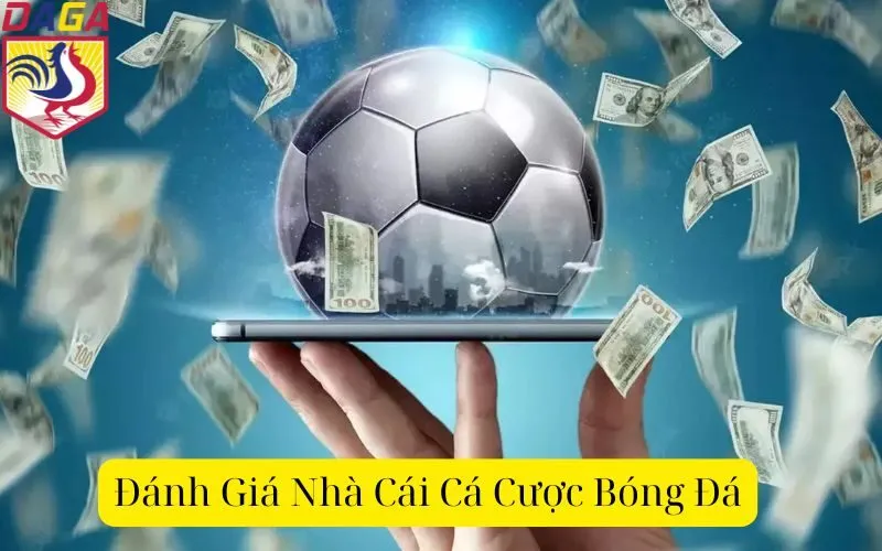 Đánh Giá Nhà Cái Cá Cược Bóng Đá