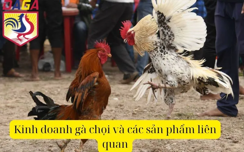 Kinh doanh gà chọi và các sản phẩm liên quan