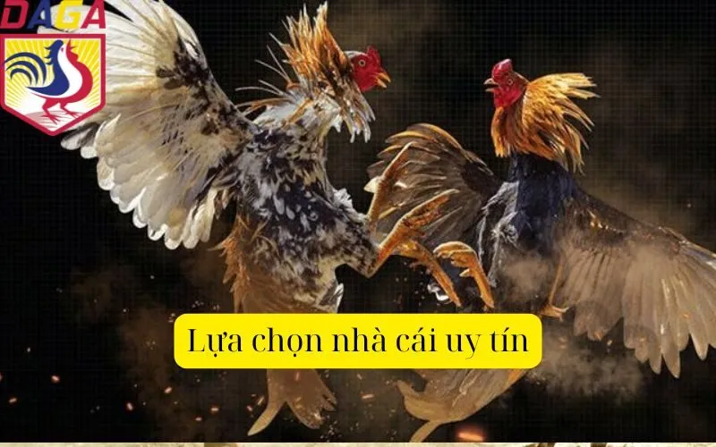 Lựa chọn nhà cái uy tín