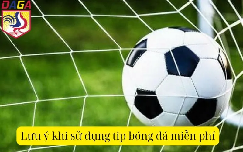 Lưu ý khi sử dụng tip bóng đá miễn phí