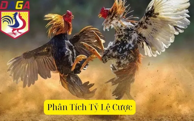 Phân Tích Tỷ Lệ Cược