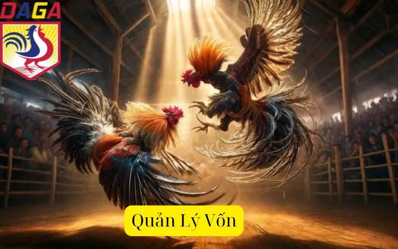 Quản Lý Vốn