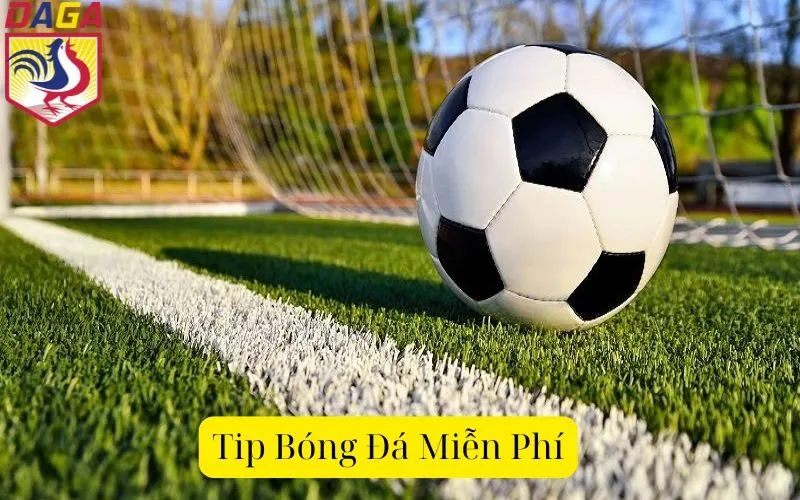 Tip Bóng Đá Miễn Phí