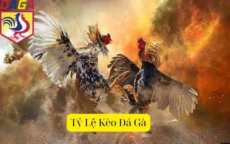 Tỷ Lệ Kèo Đá Gà