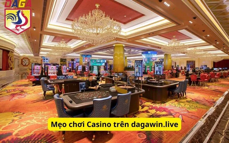 Mẹo chơi Casino trên dagawin.live