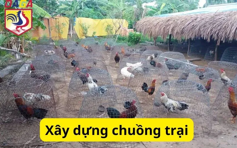 Xây dựng chuồng trại: